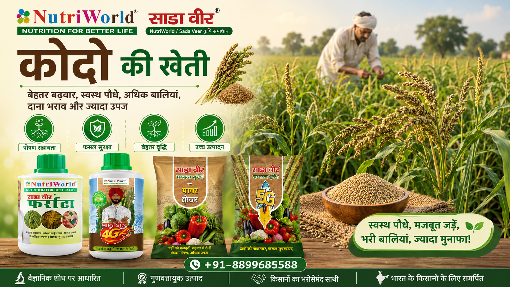 ਕੋਦੋ ਦੀ ਖੇਤੀ