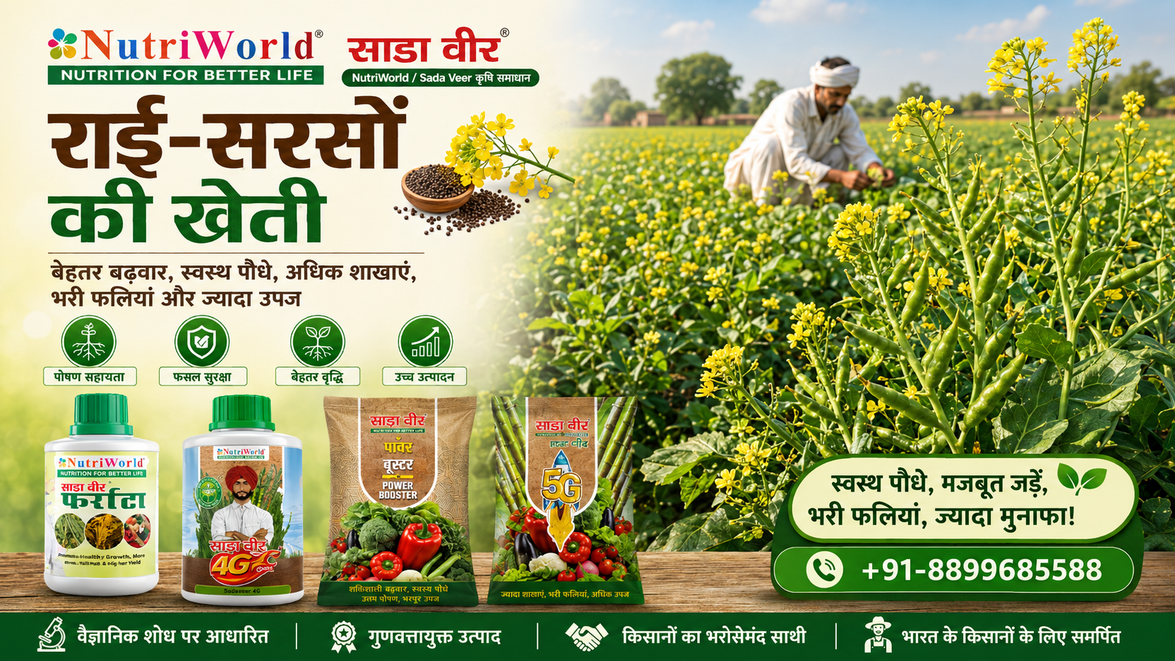 राई-सरसों की खेती