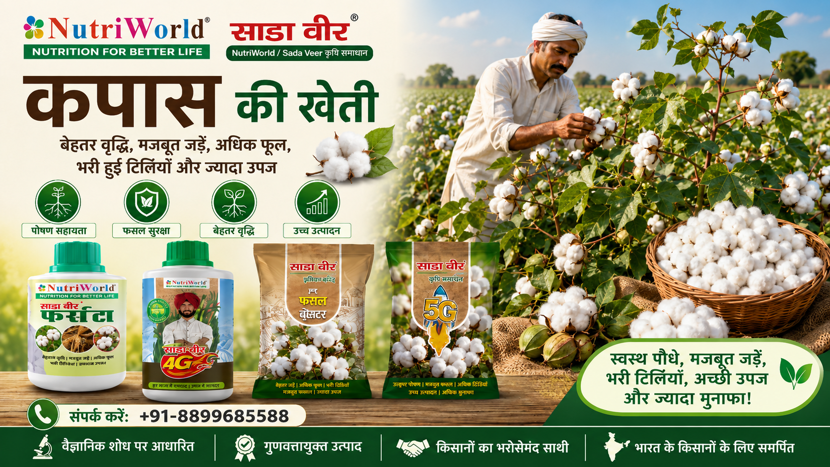कपास की खेती
