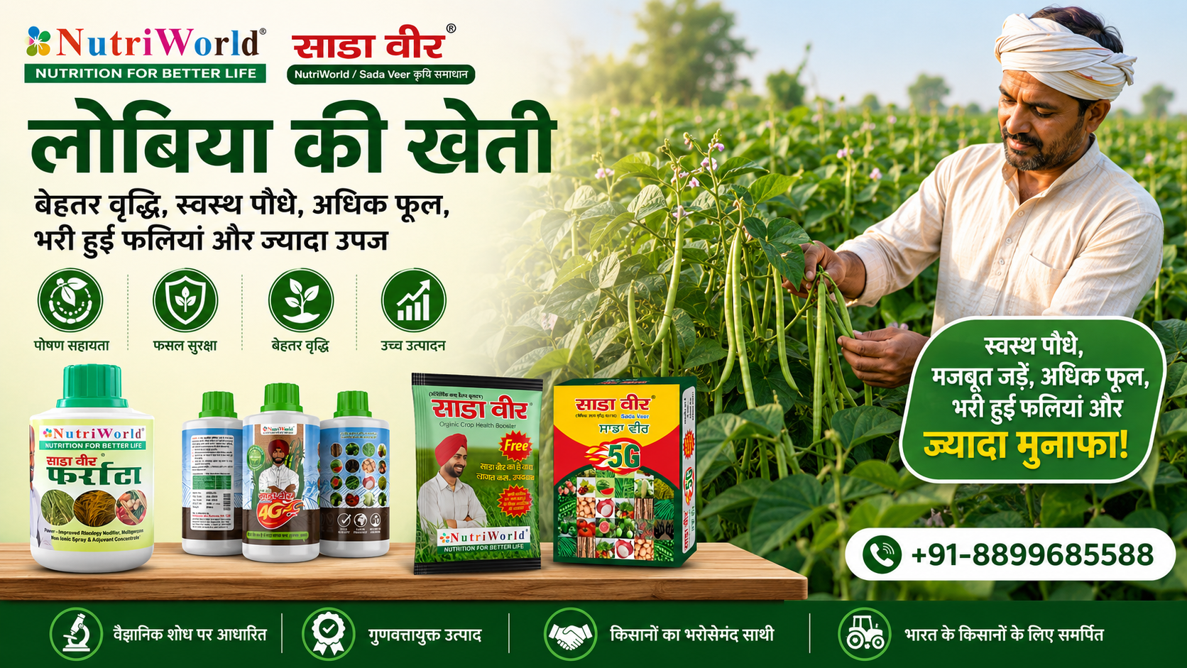 लोबिया की खेती