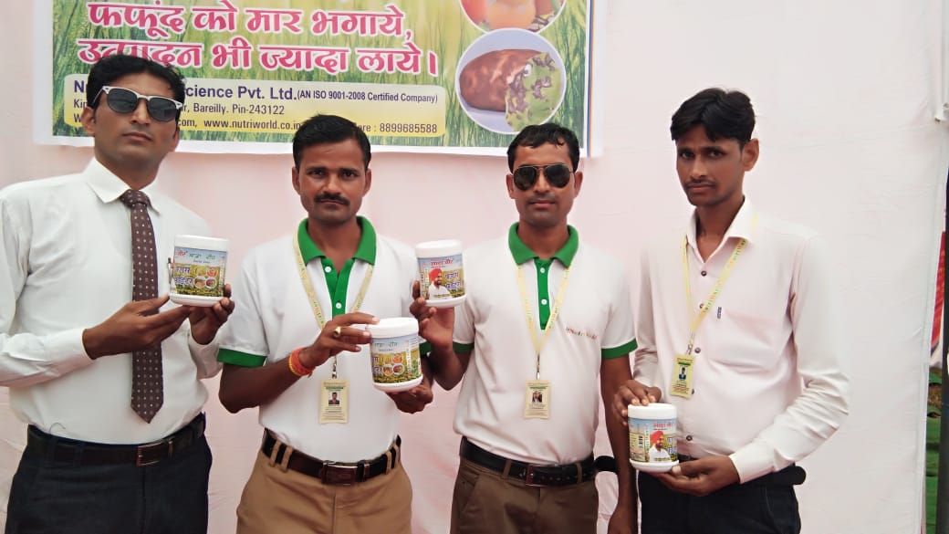 फंगस फाइटर