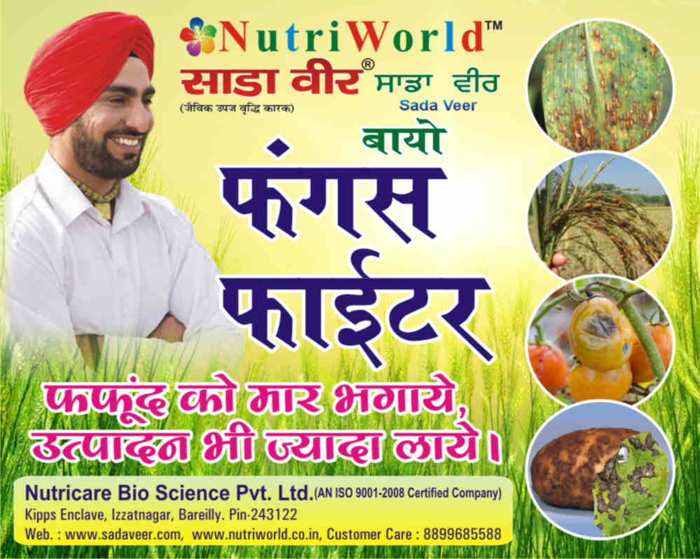 फंगस फाइटर