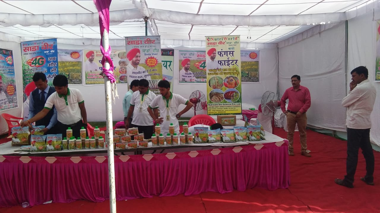 फंगस फाइटर