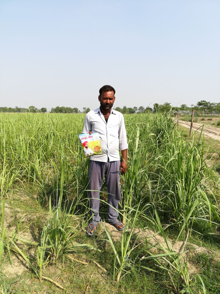 साडावीर 10