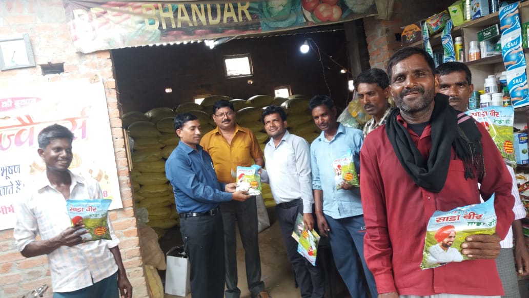 साडावीर 35