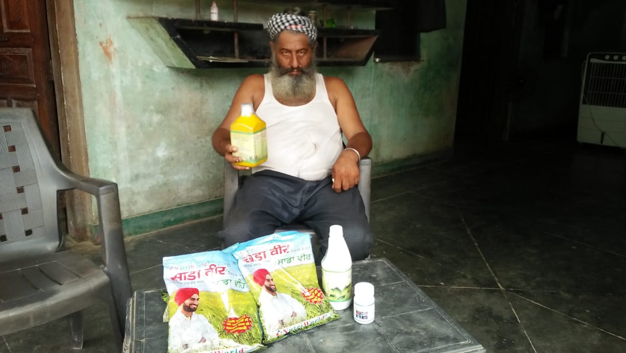 साडावीर 41