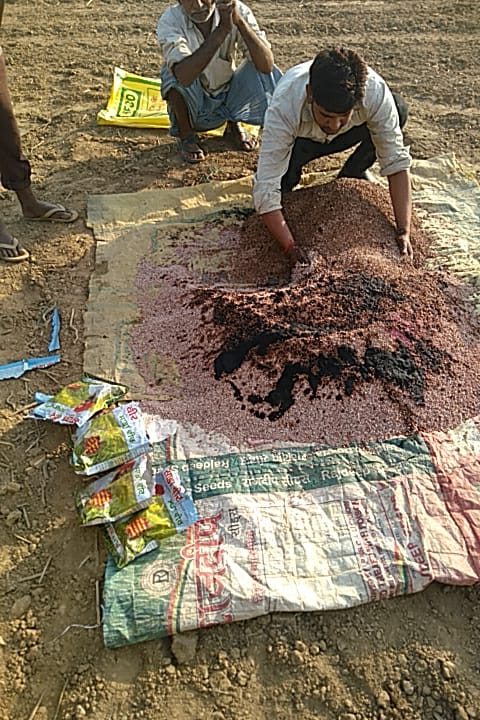 साडावीर 61
