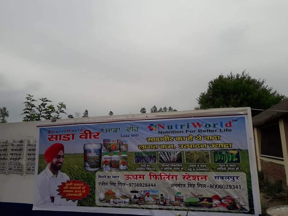 साडावीर 70
