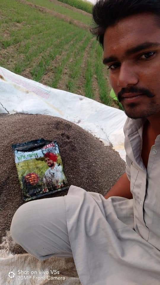 साडावीर 71