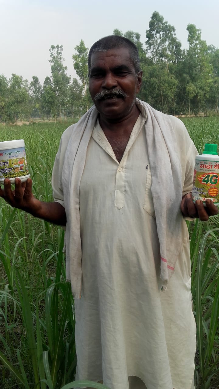 साडावीर 81