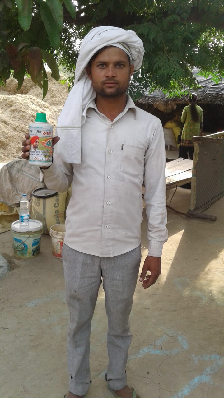 साडावीर 78