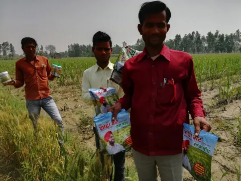साडावीर 53