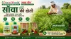 सॉवा की खेती