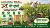 उर्द की खेती