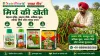 मिर्च की खेती