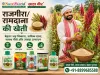 राजगीरा/रामदाना की खेती