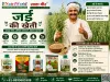  जई की खेती 
