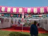 फंगस फाइटर