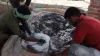 साडावीर 27