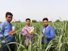 साडावीर 8