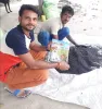 साडावीर 86