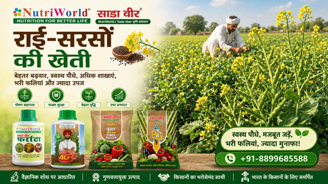 राई-सरसों की खेती
