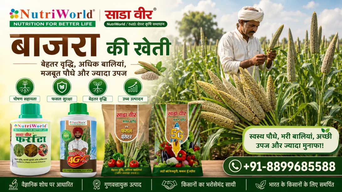 बाजरा की खेती